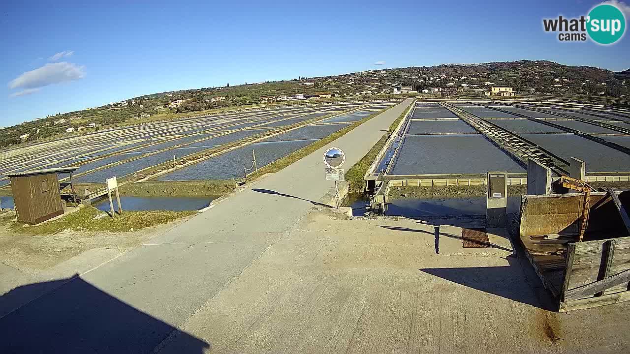 Krajinski Park Sečoveljske Soline