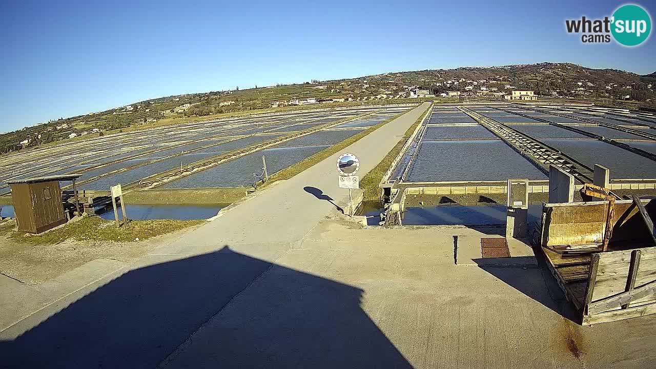 Sezza – Panorama e le saline