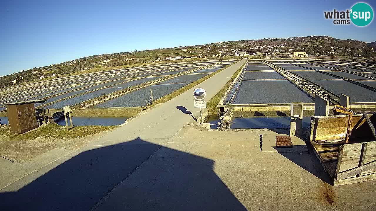 Sečovlje Salina Parque Natural