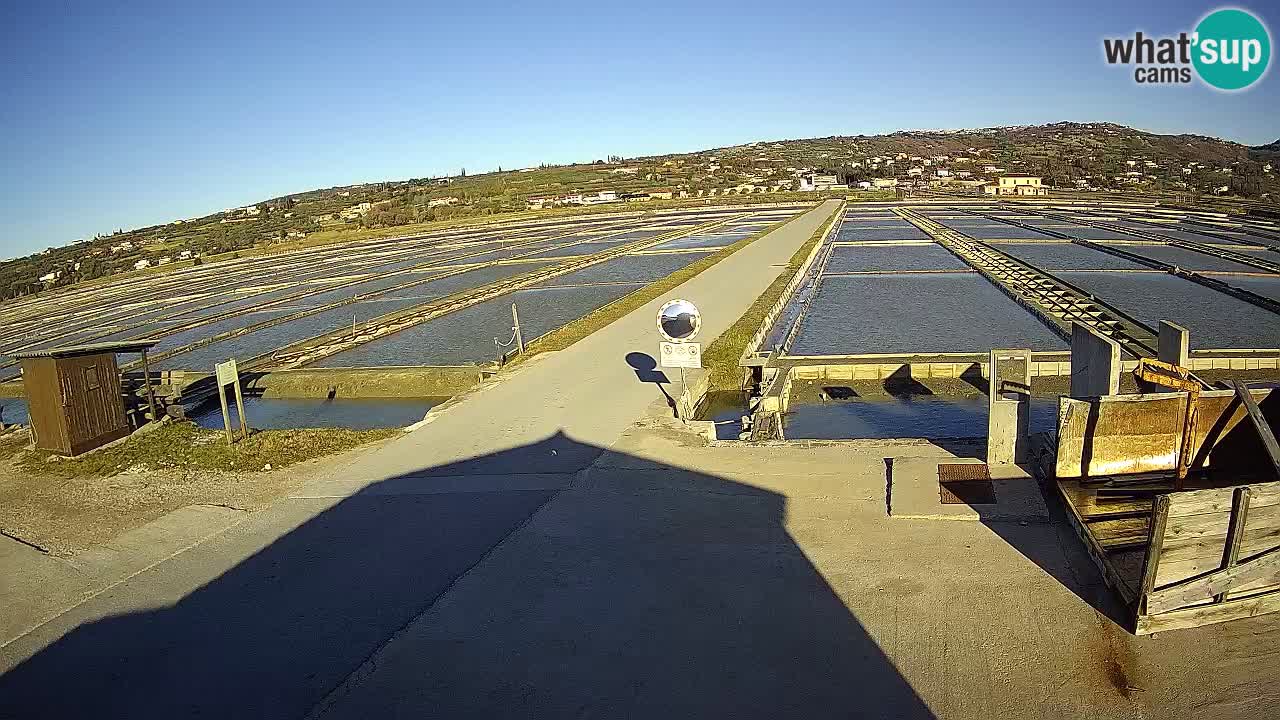 Naturpark der Salinen von Sečovlje