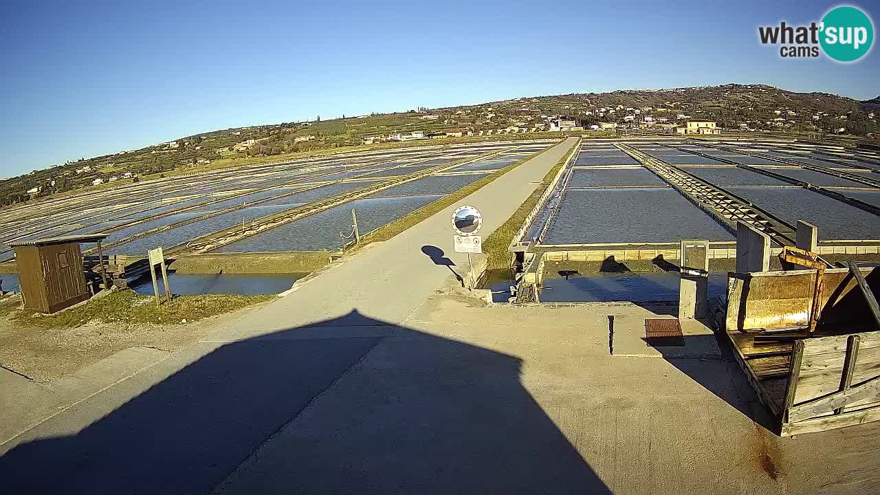 ﻿Sečovlje Salina Nature Park – KPSS