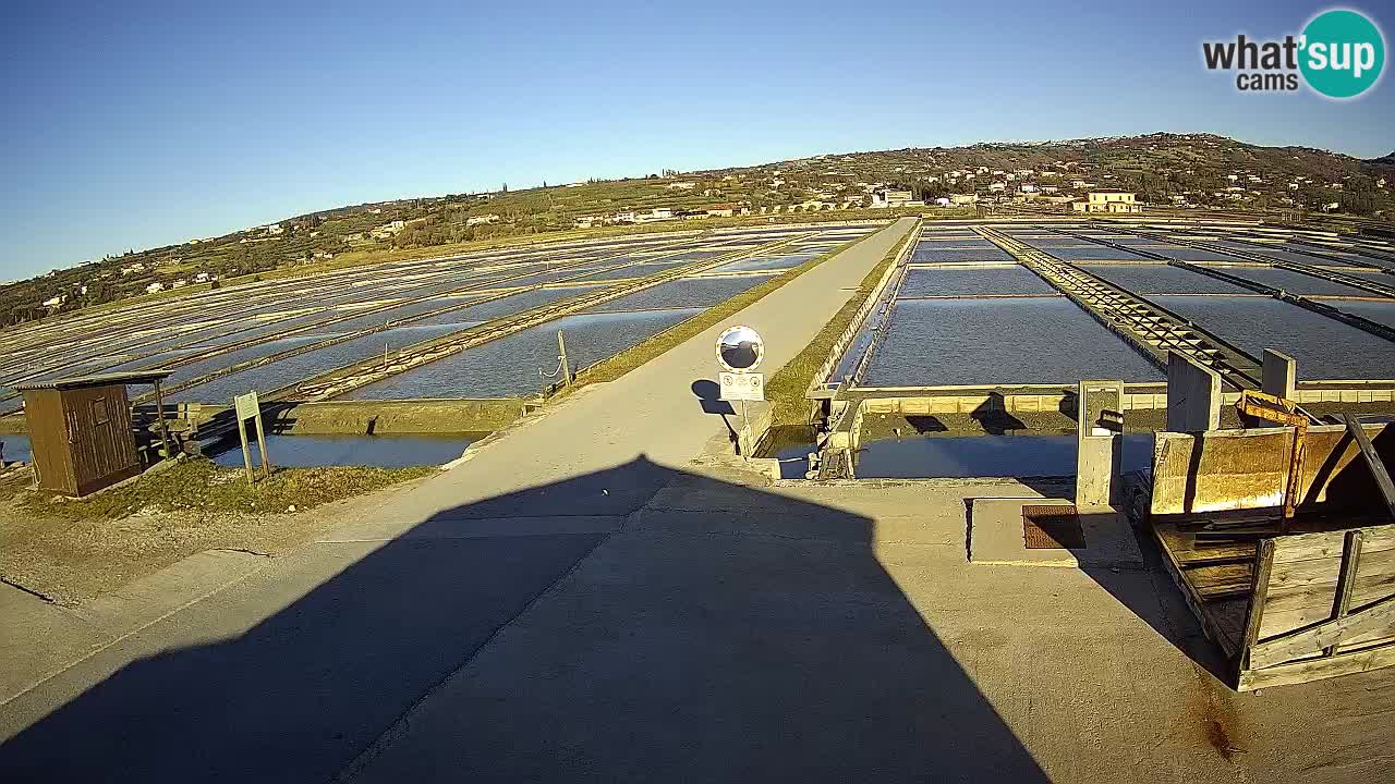 ﻿Sečovlje Salina Nature Park – KPSS