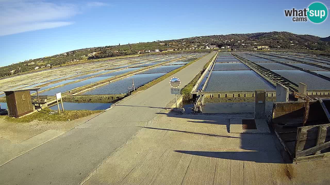 ﻿Sečovlje Salina Nature Park – KPSS