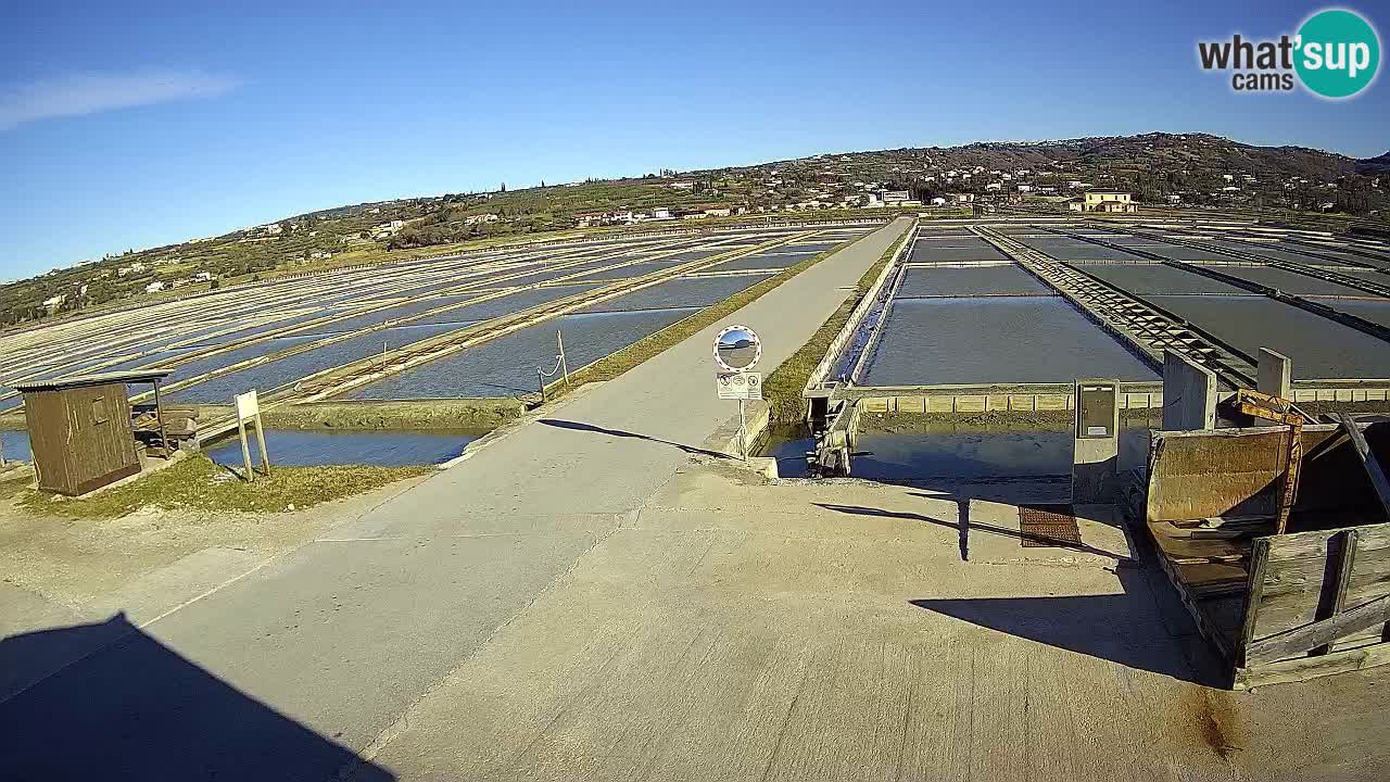 Park prirode Sečovlje Salina