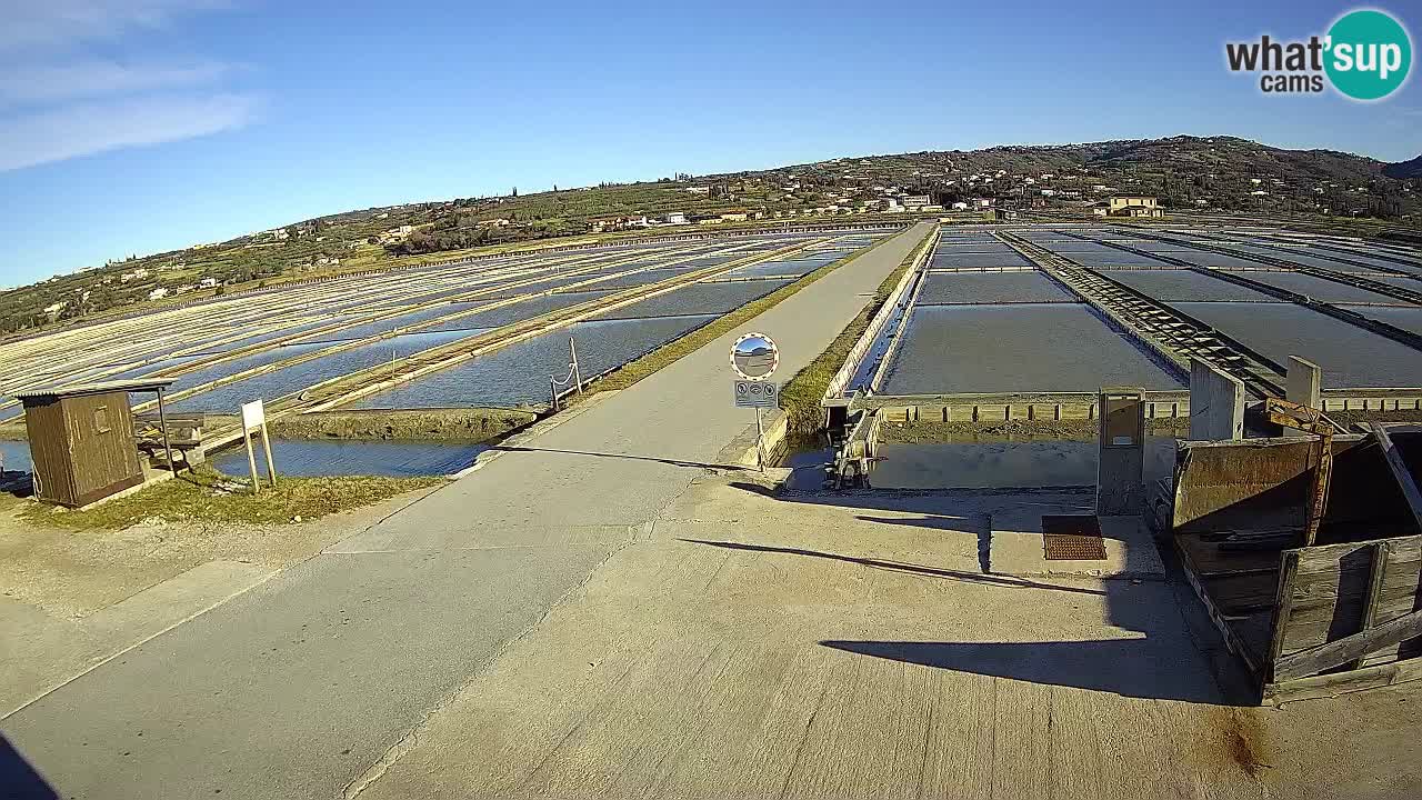 Sečovlje Salina Nature Park