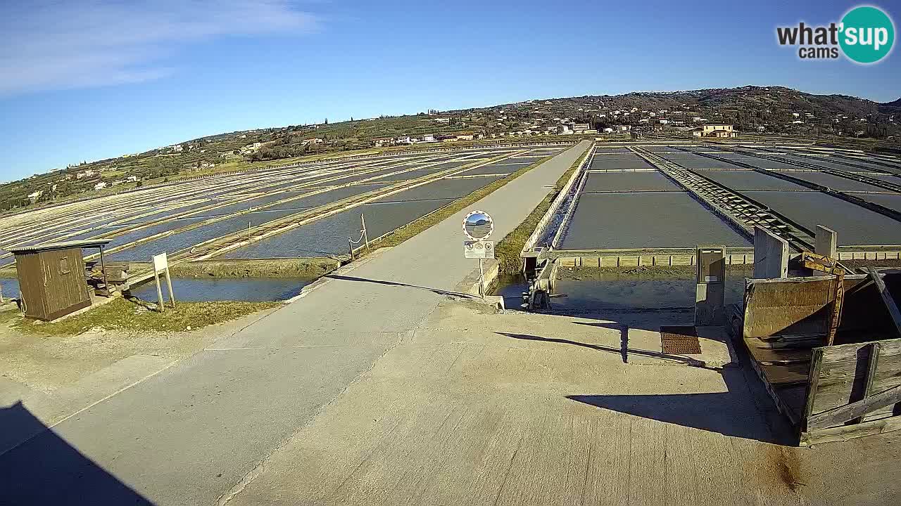 ﻿Sečovlje Salina Nature Park – KPSS