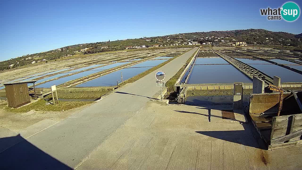 ﻿Sečovlje Salina Nature Park – KPSS