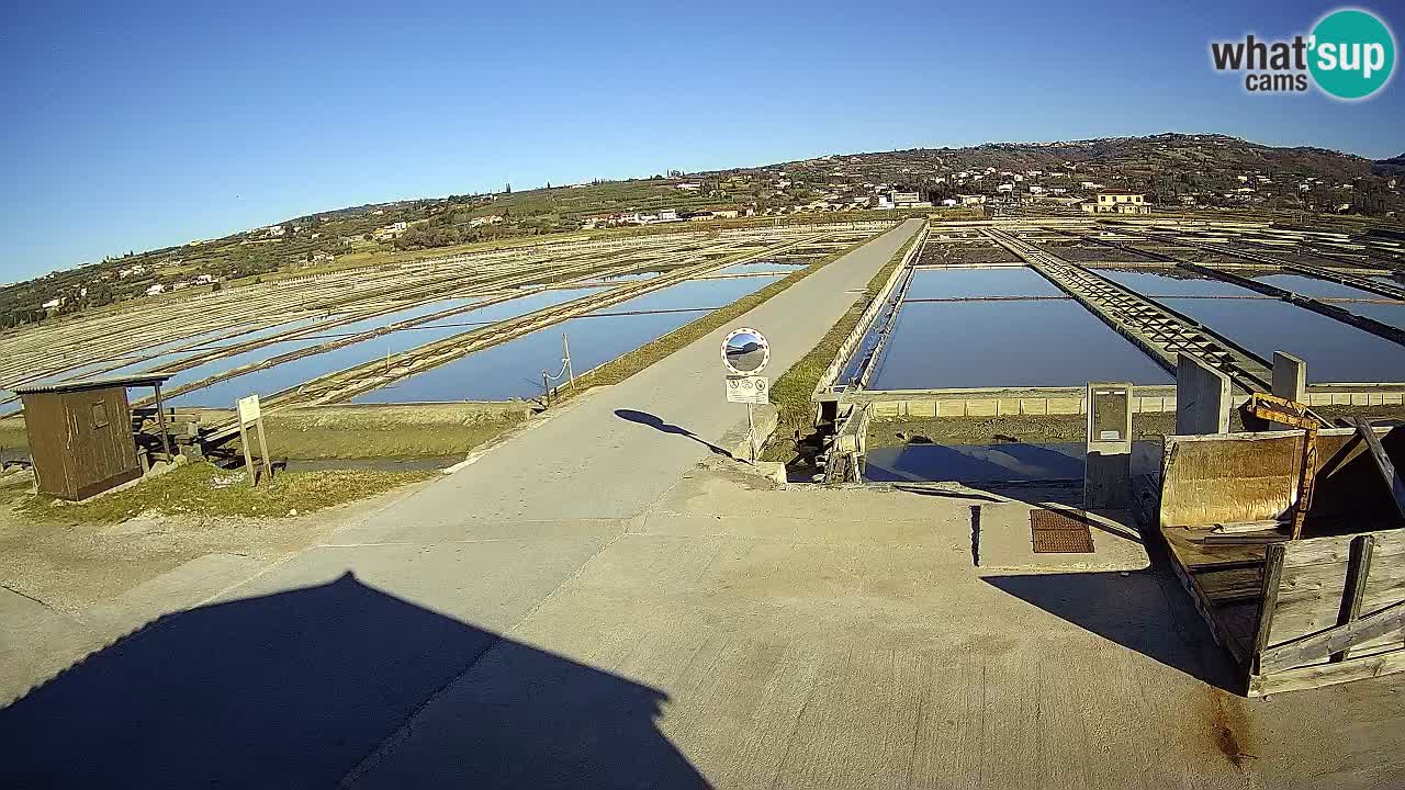 ﻿Sečovlje Salina Nature Park – KPSS