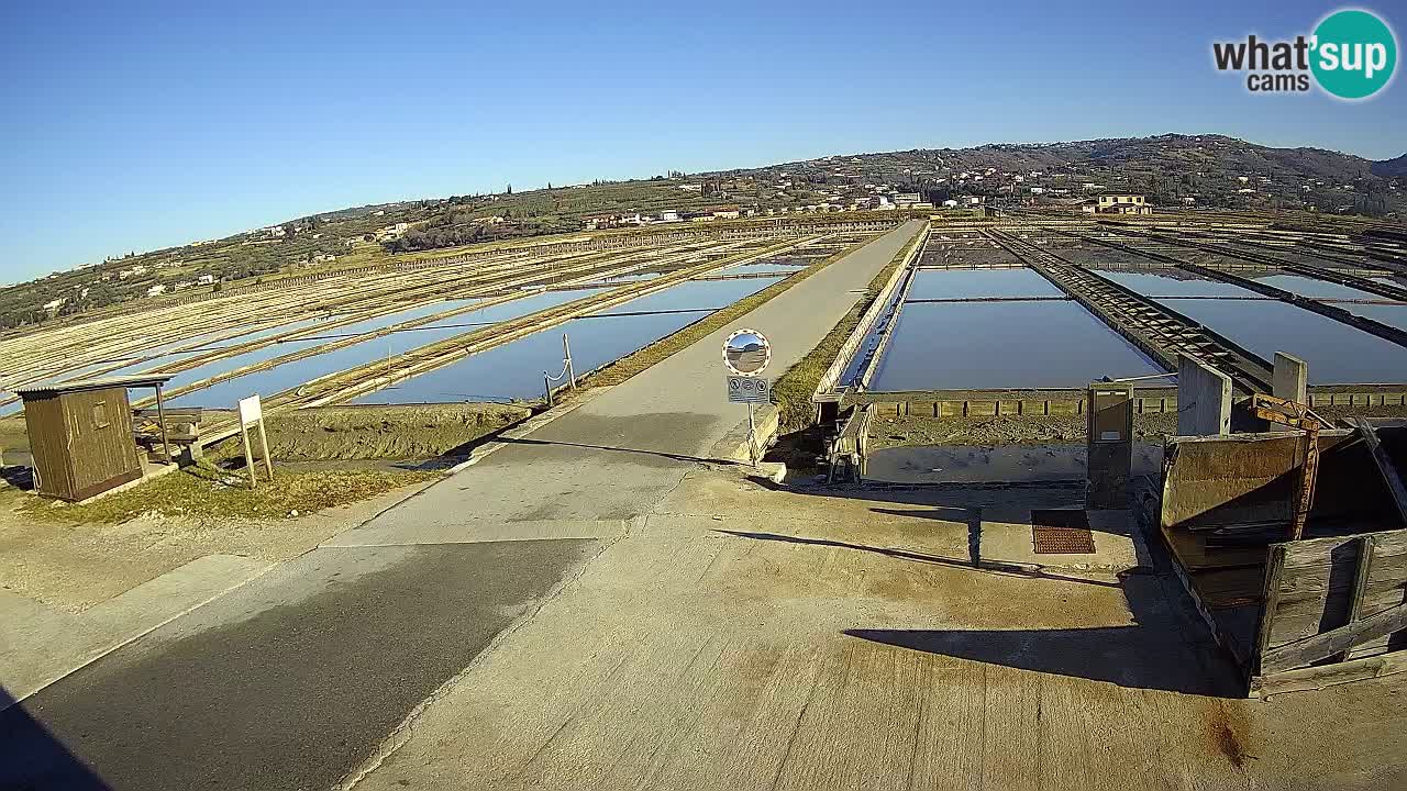 Krajinski Park Sečoveljske Soline