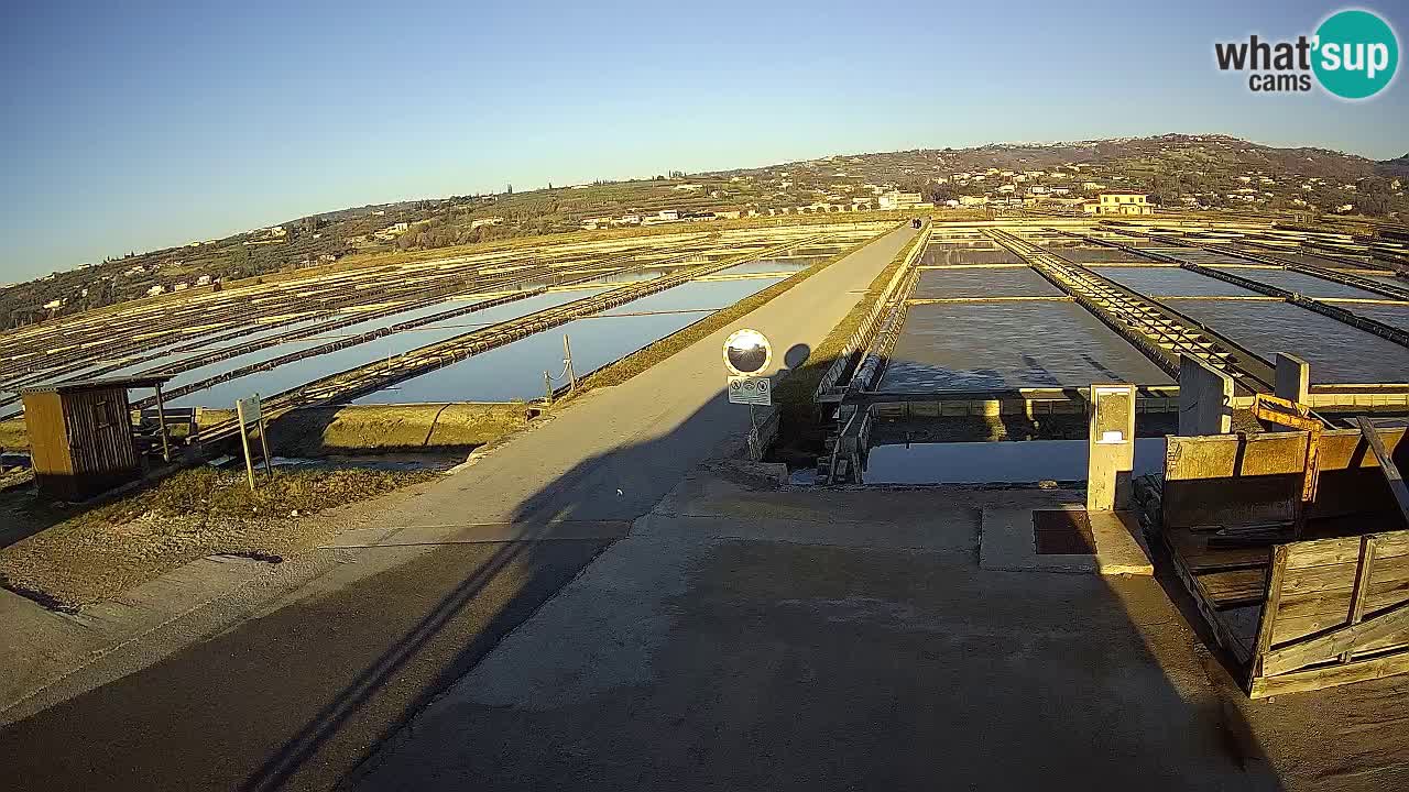 Sečovlje Salina Parque Natural