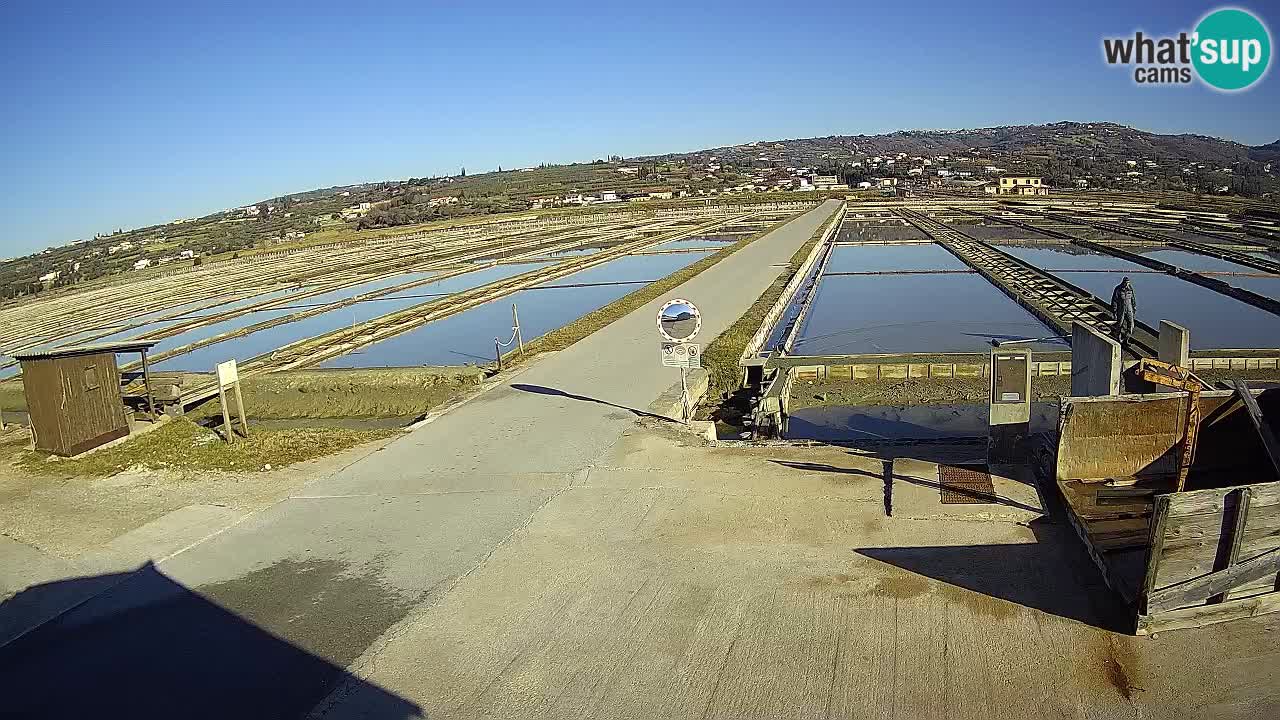 Krajinski Park Sečoveljske Soline