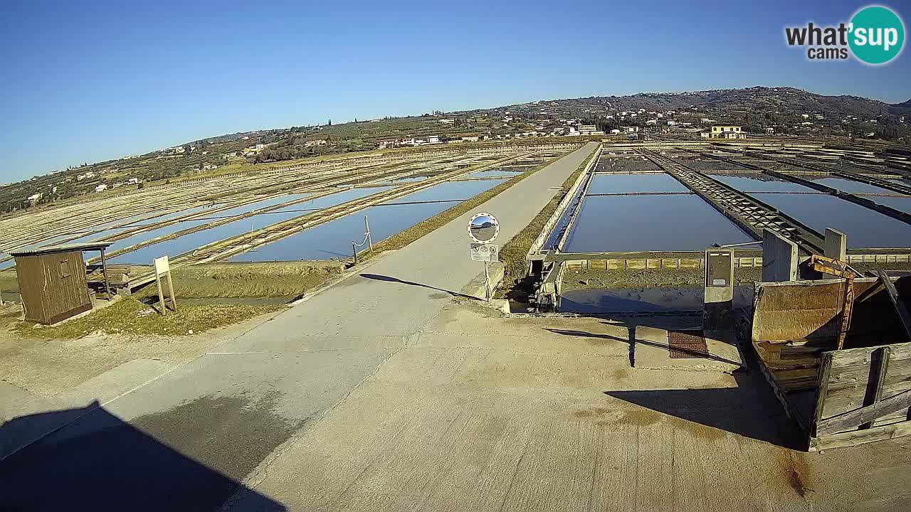 Sečovlje Salina Nature Park