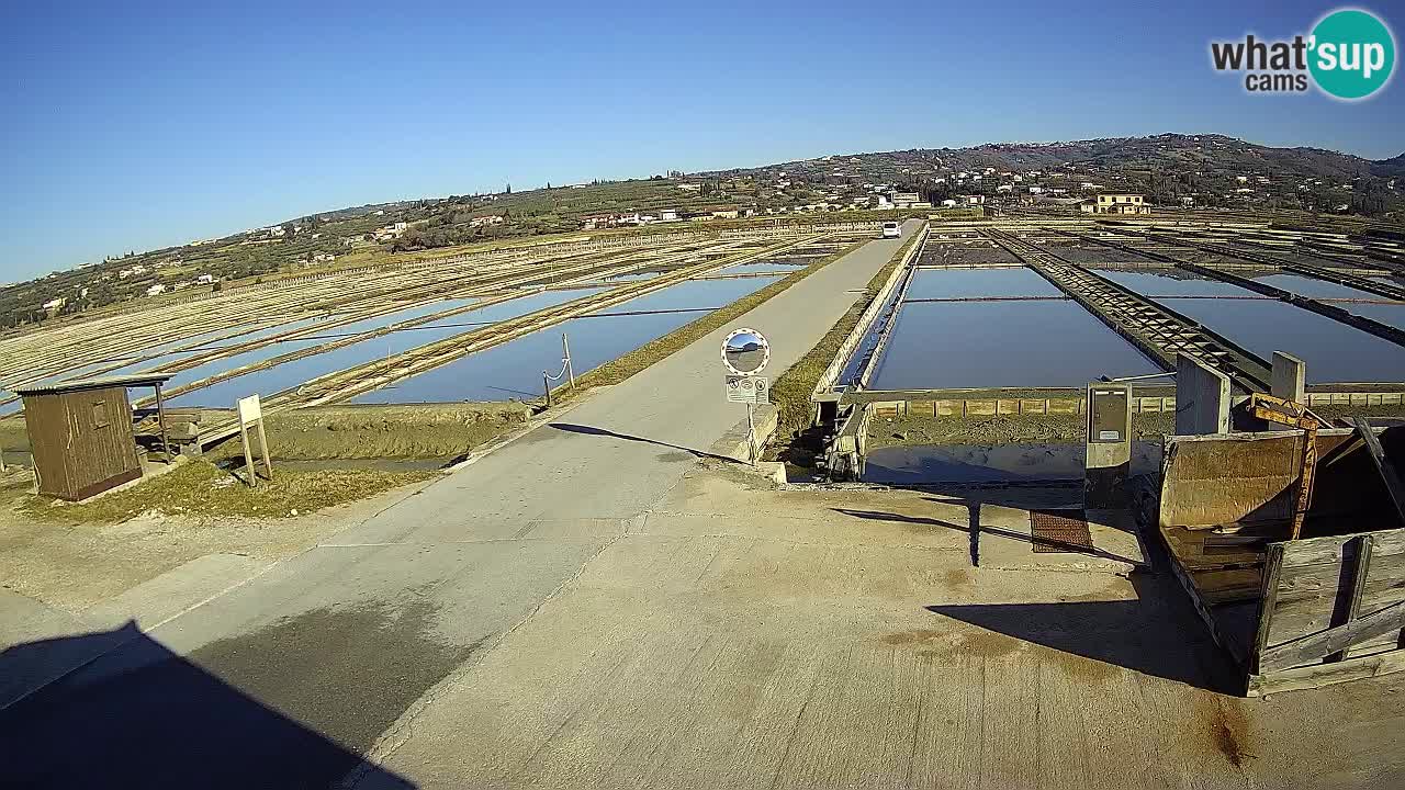 Krajinski Park Sečoveljske Soline