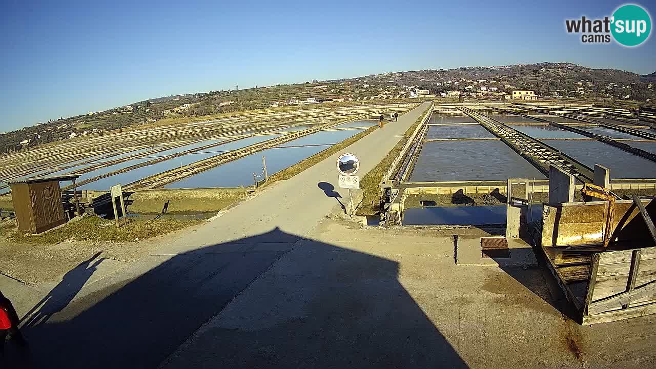 Sezza – Panorama e le saline