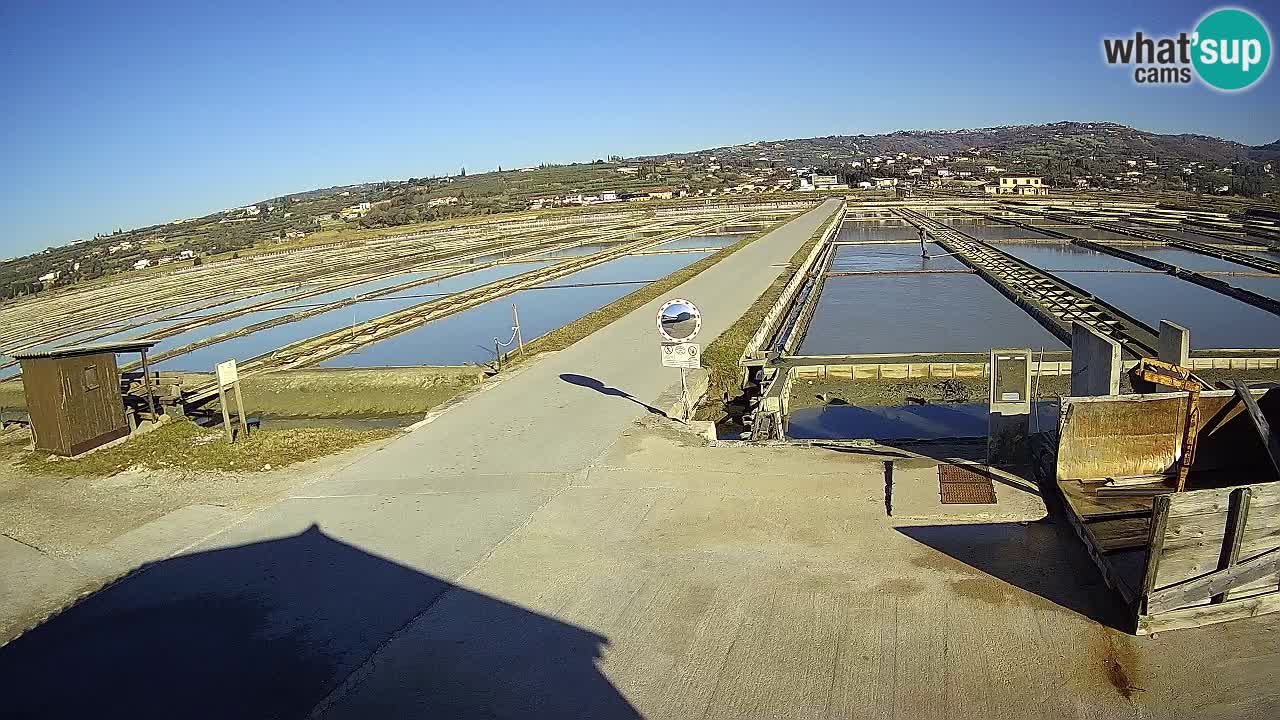 Krajinski Park Sečoveljske Soline