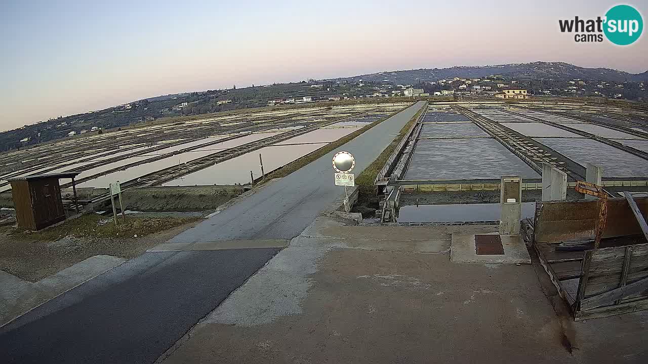 Krajinski Park Sečoveljske Soline