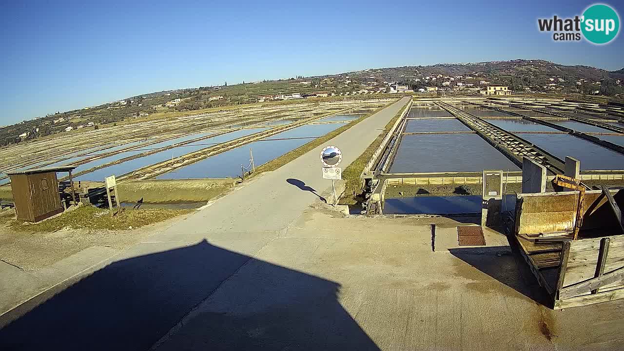 Parco Naturale Saline di Sicciole