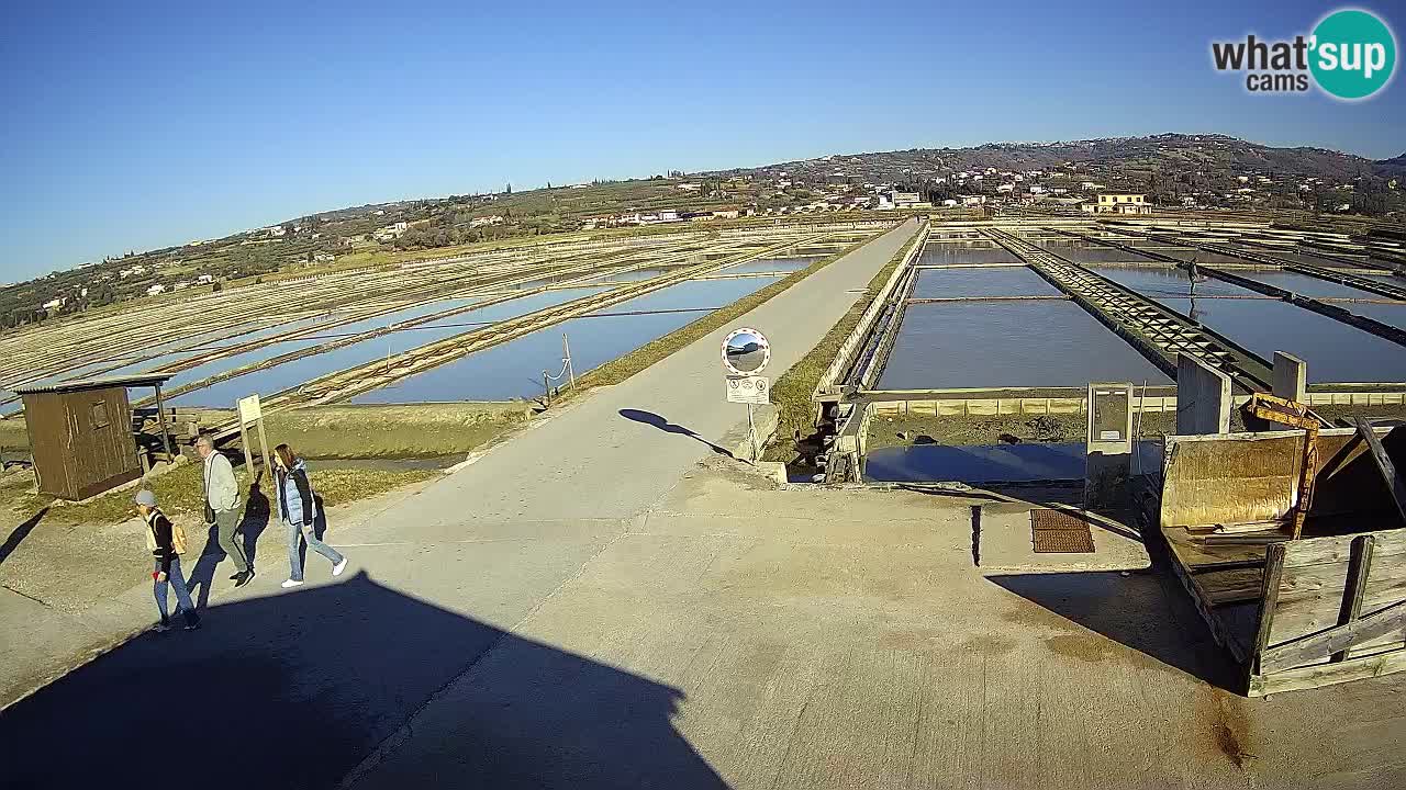 Sezza – Panorama e le saline