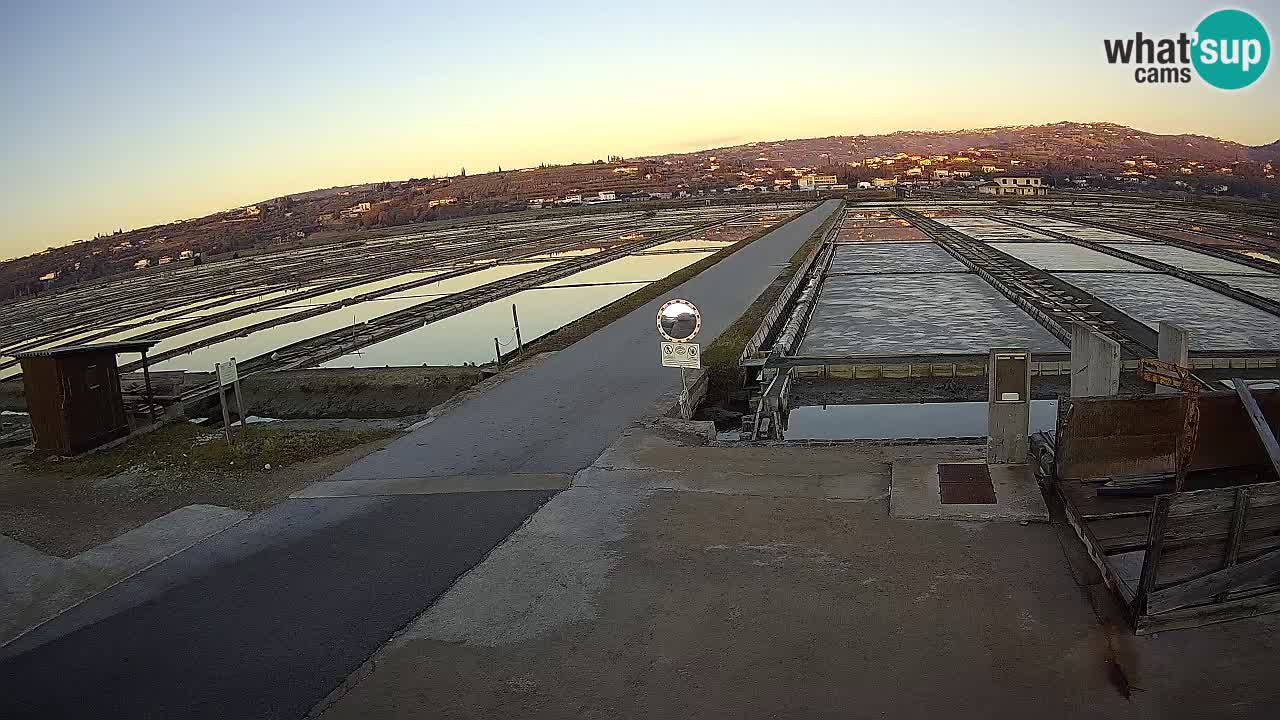 Parco Naturale Saline di Sicciole