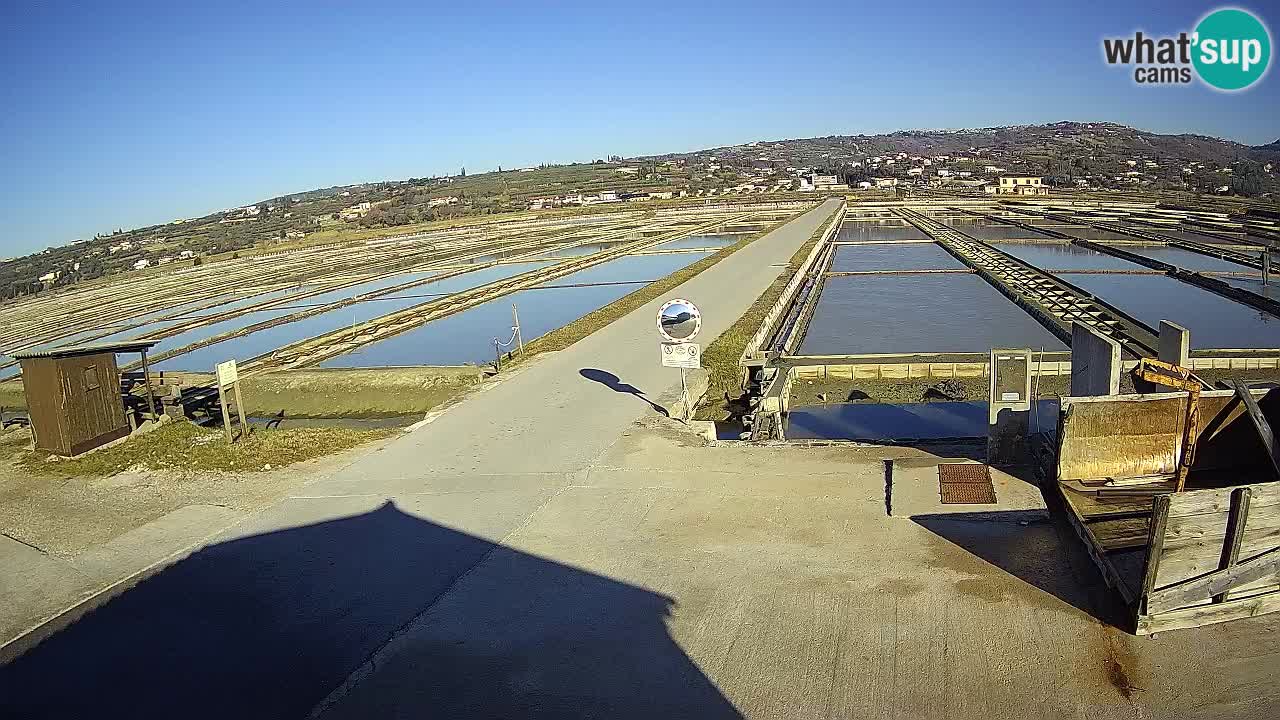 Parco Naturale Saline di Sicciole