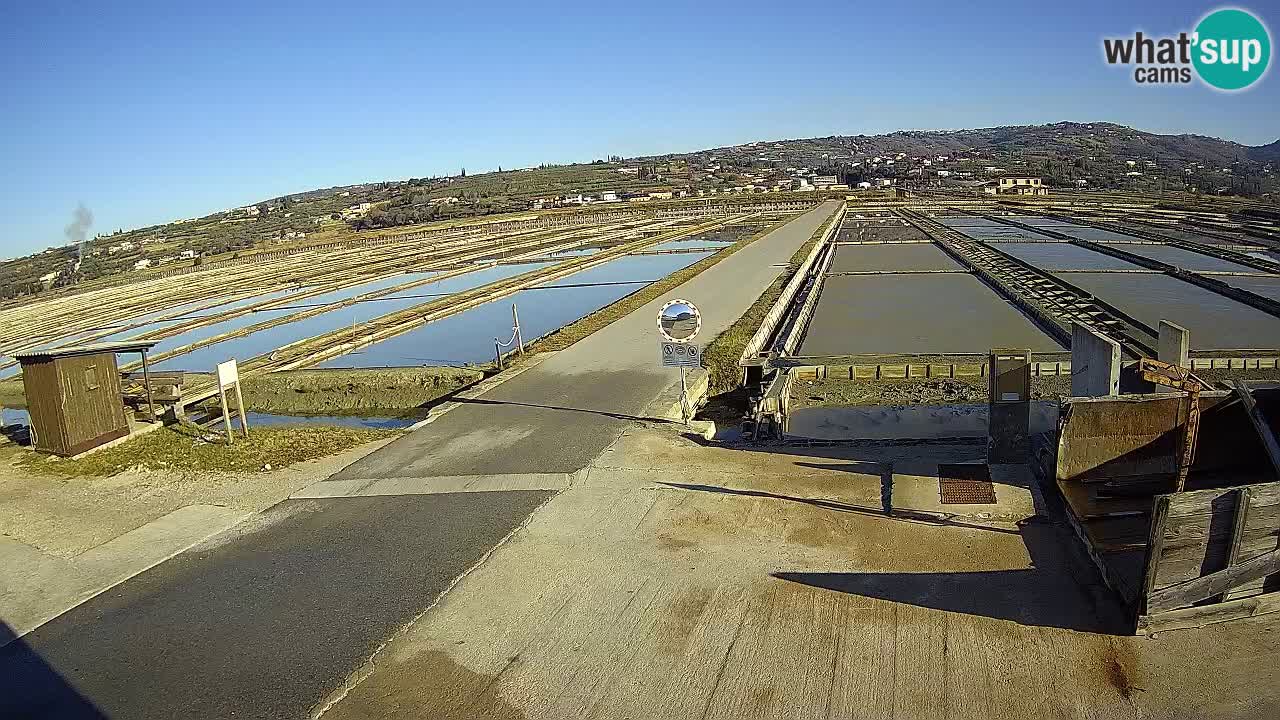 ﻿Sečovlje Salina Nature Park – KPSS