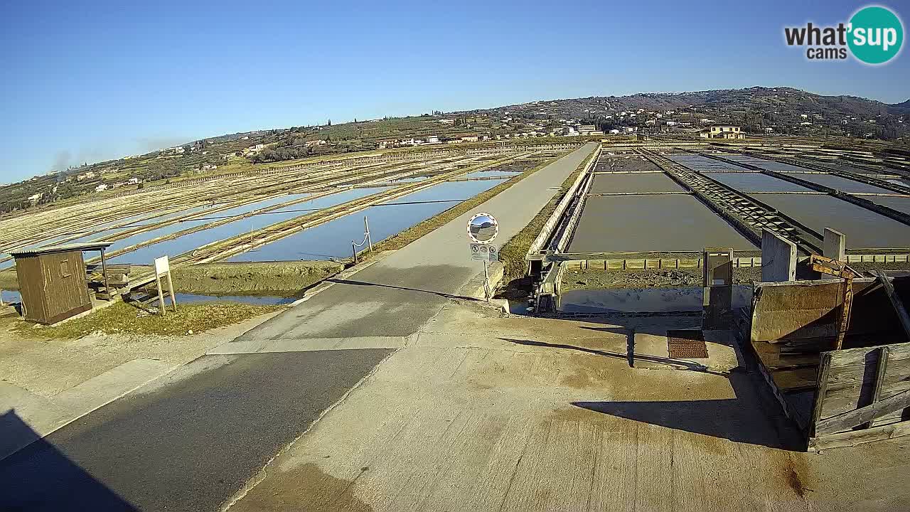 ﻿Sečovlje Salina Nature Park – KPSS