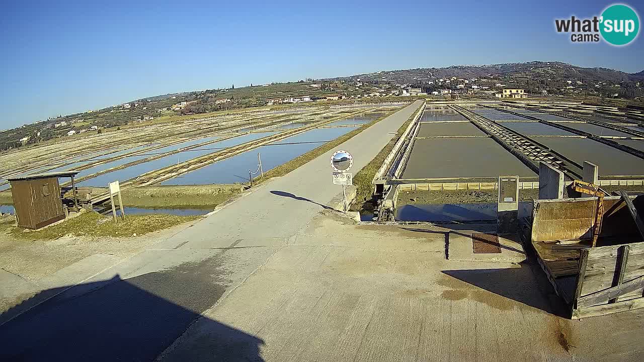 ﻿Sečovlje Salina Nature Park – KPSS