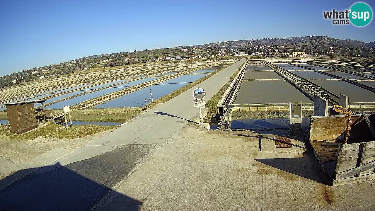 Sečovlje Salina Nature Park