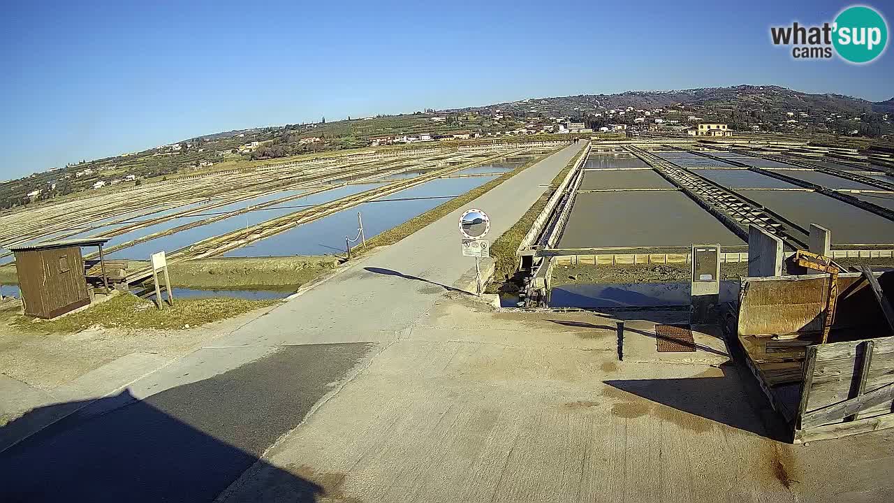 ﻿Sečovlje Salina Nature Park – KPSS