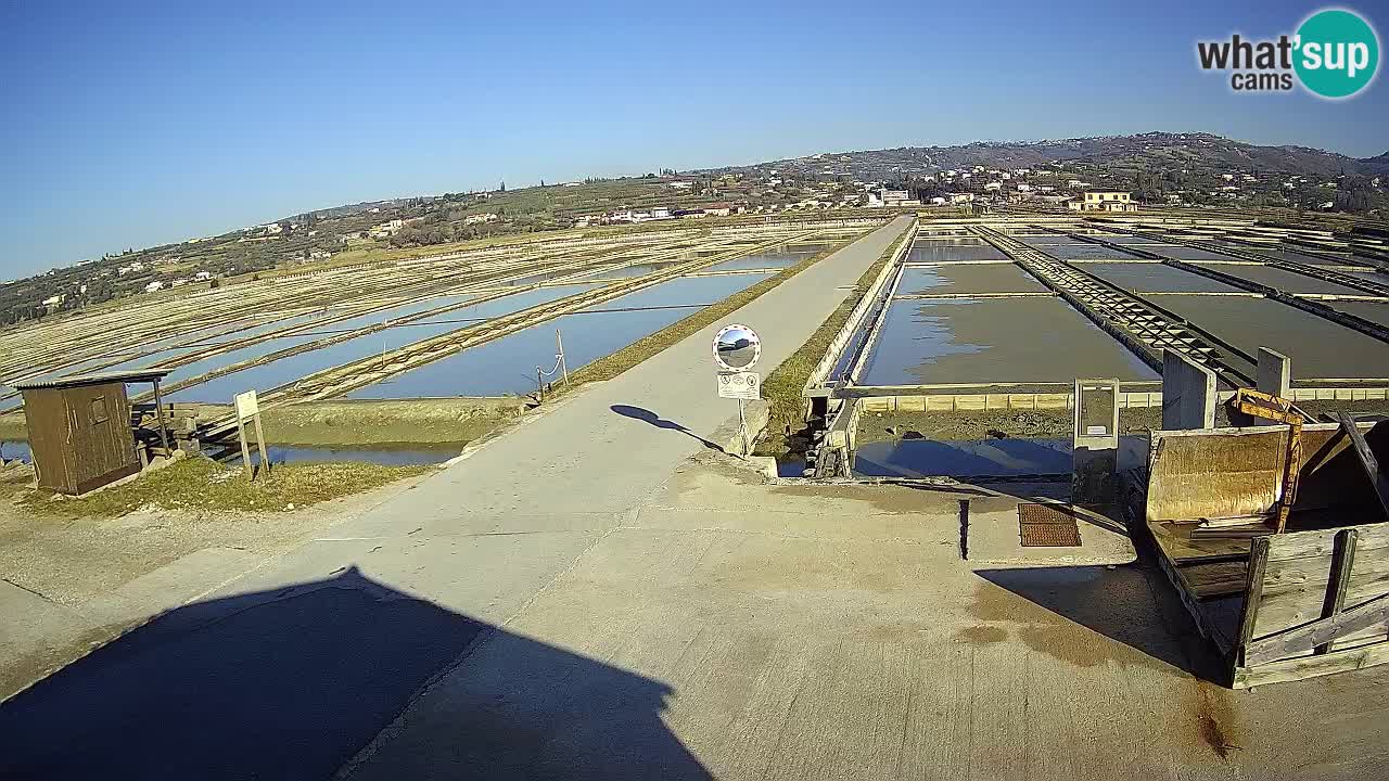 Naturpark der Salinen von Sečovlje