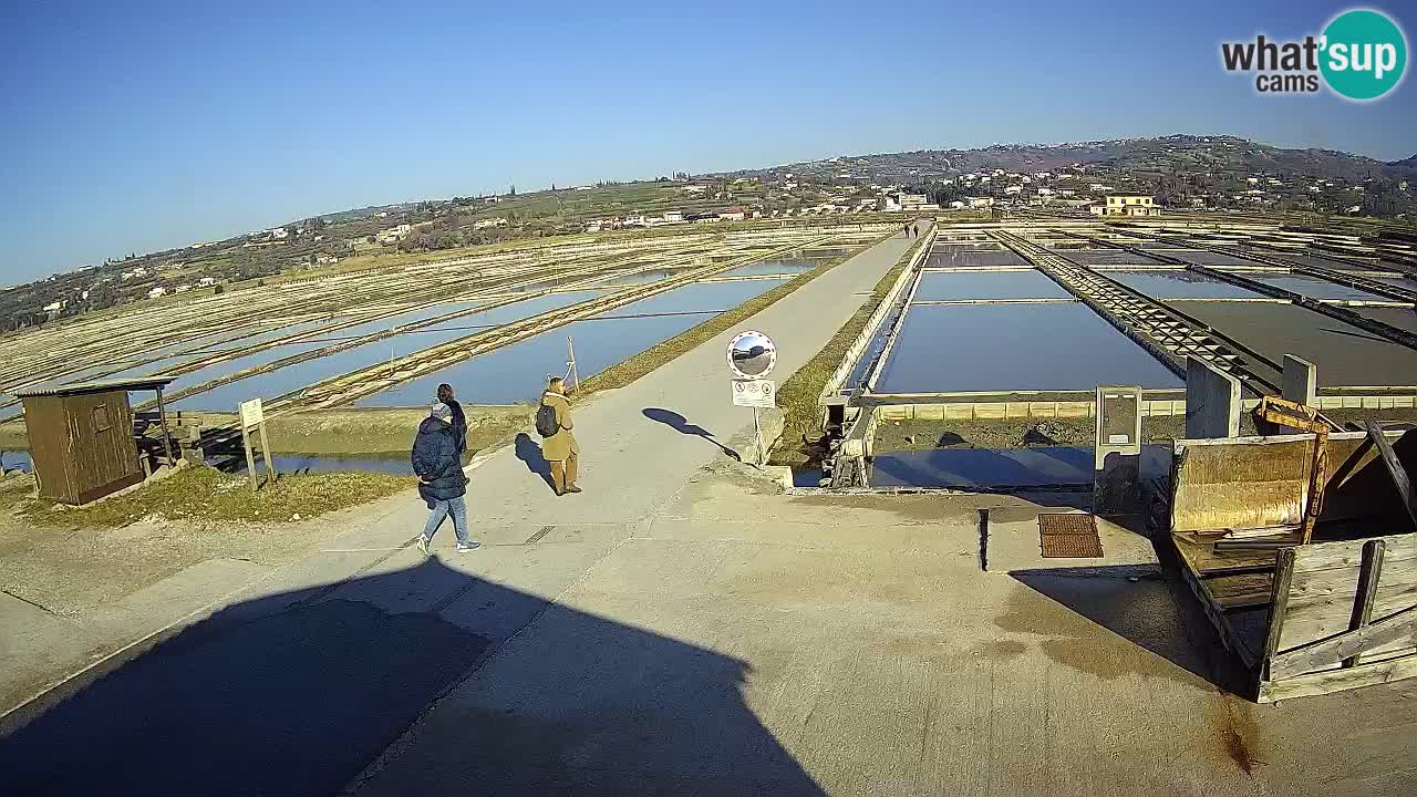 Sečovlje Salina Parque Natural