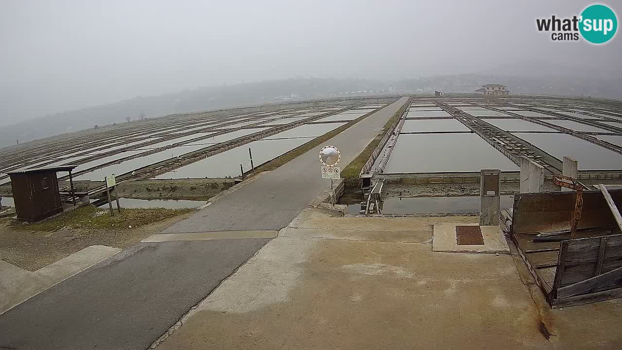 Sečovlje Salina Parque Natural