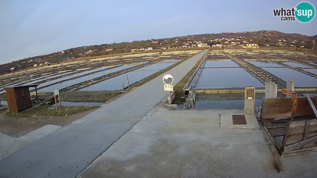 ﻿Sečovlje Salina Nature Park – KPSS