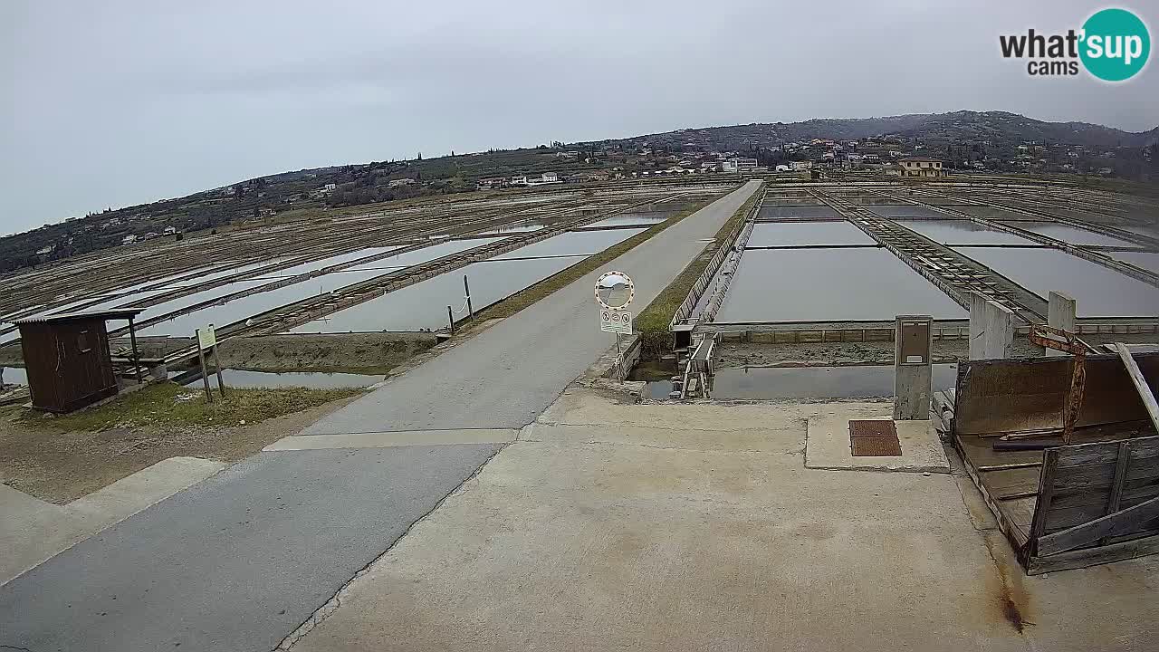 Sečovlje Salina Parque Natural