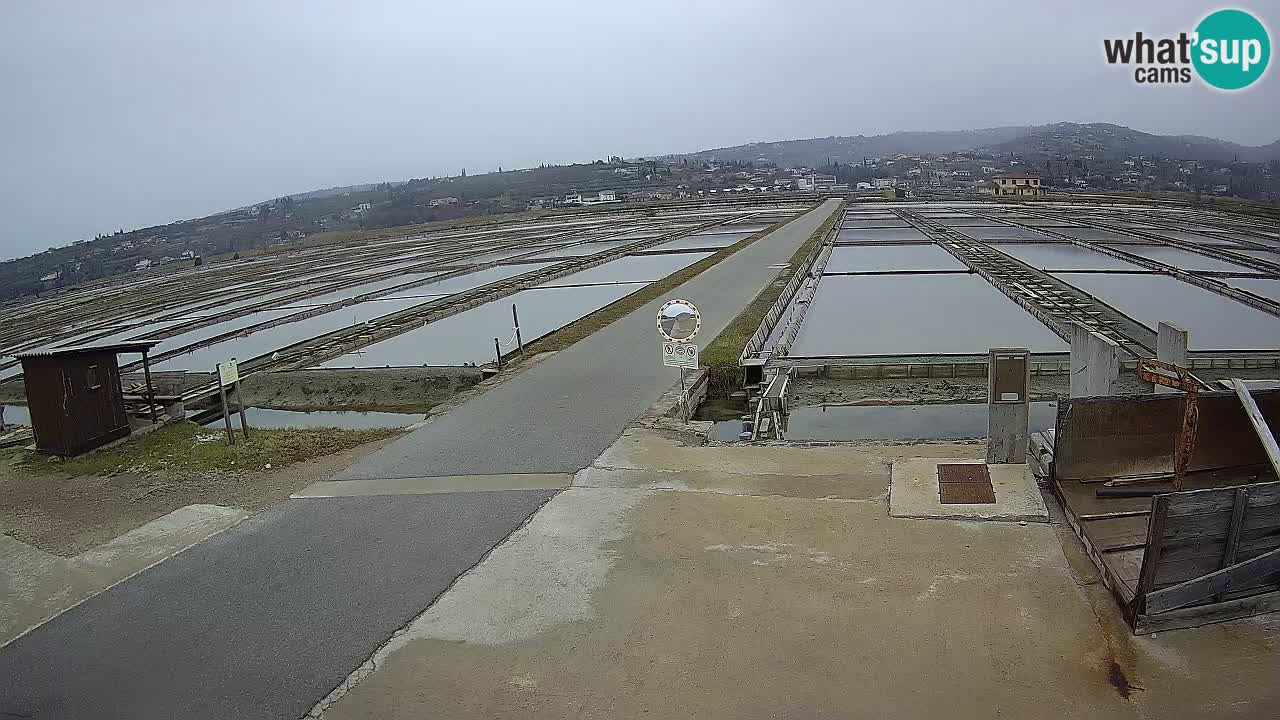 Parco Naturale Saline di Sicciole