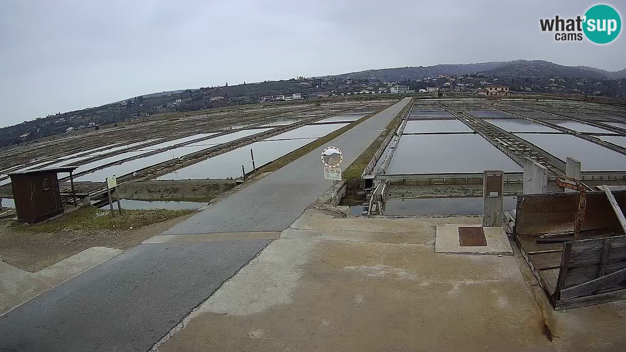 Sečovlje Salina Nature Park