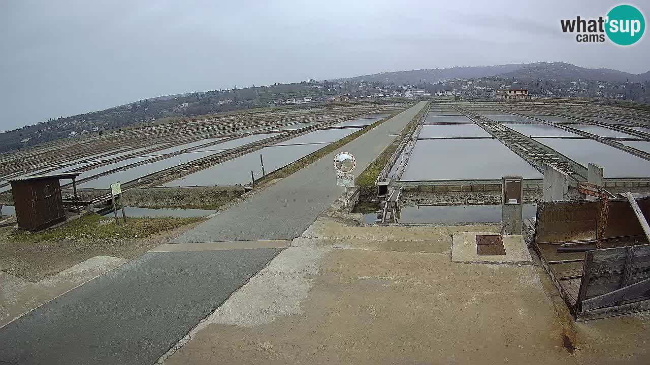 ﻿Sečovlje Salina Nature Park – KPSS