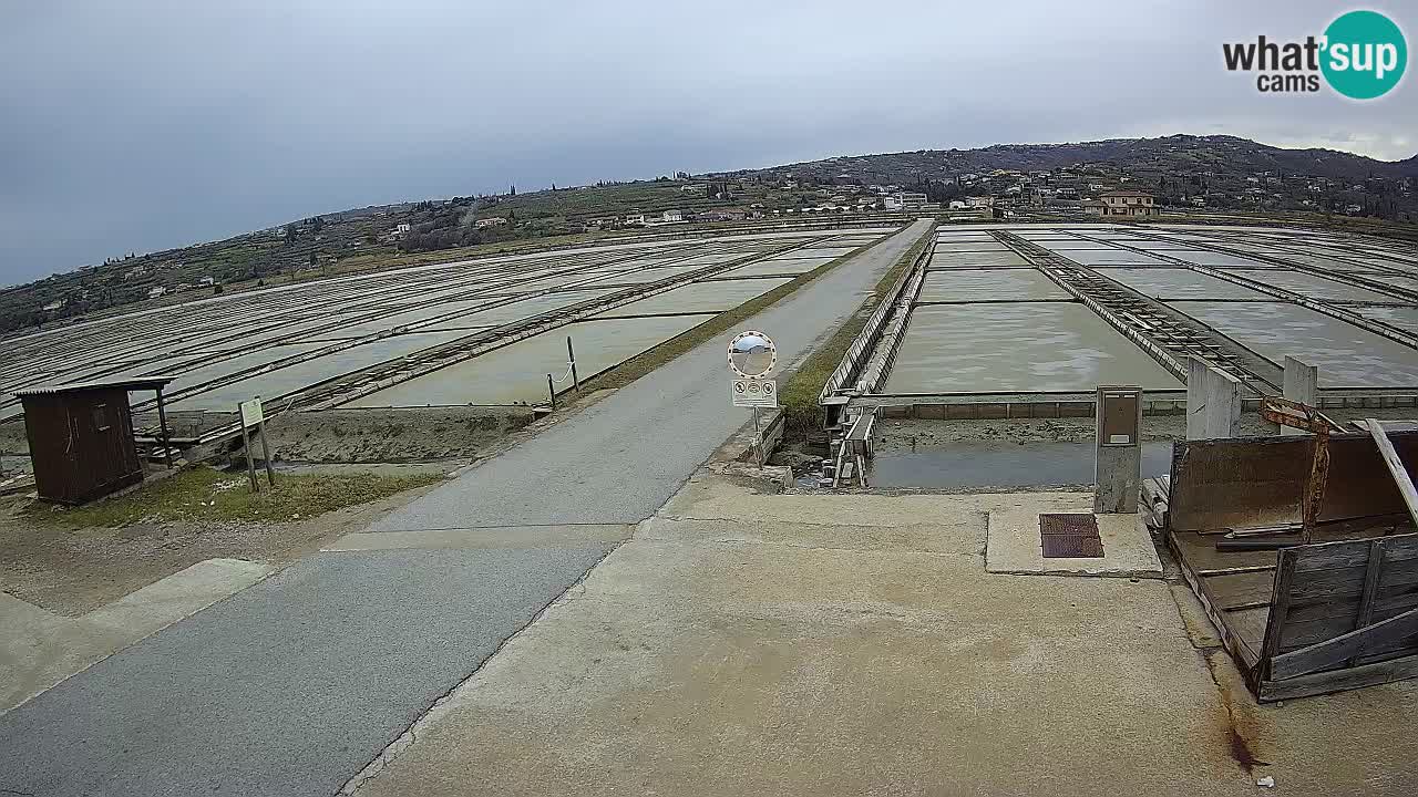 Krajinski Park Sečoveljske Soline