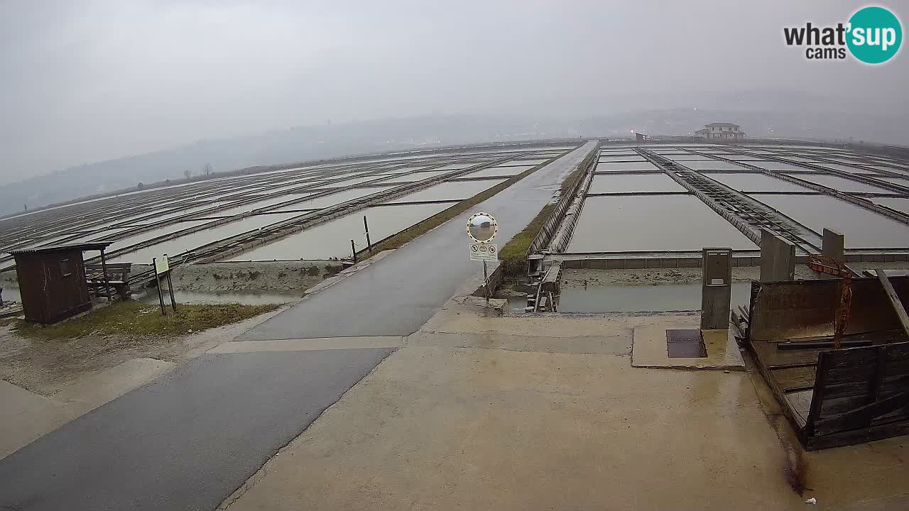 Sečovlje Salina Nature Park