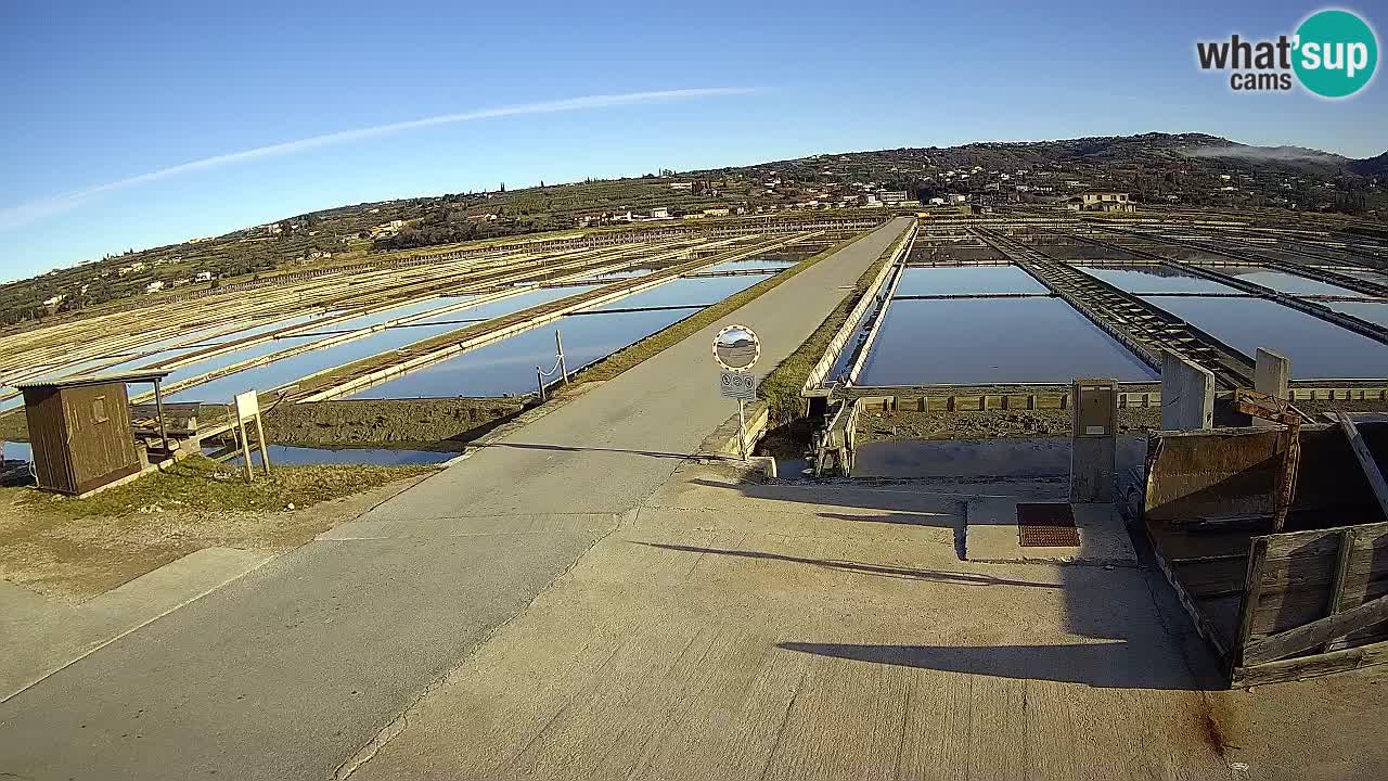 ﻿Sečovlje Salina Nature Park – KPSS