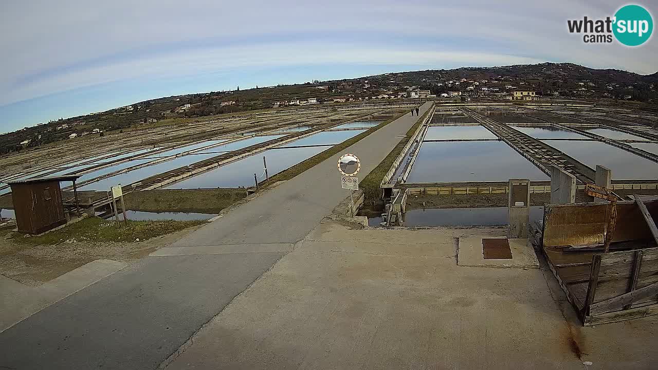 Seča – Panorama in soline