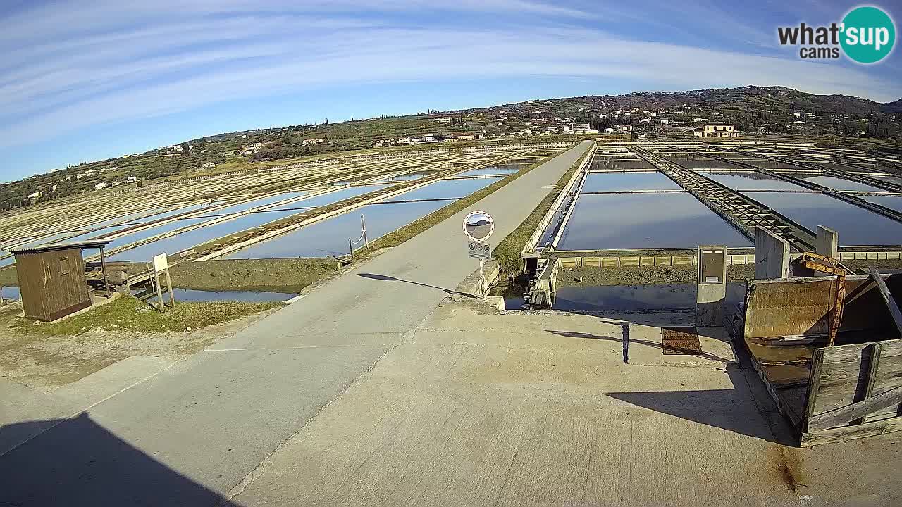 Naturpark der Salinen von Sečovlje