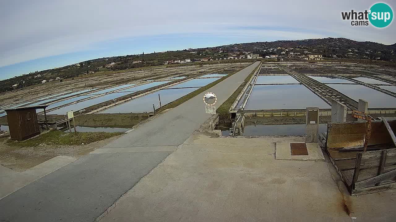 ﻿Sečovlje Salina Nature Park – KPSS