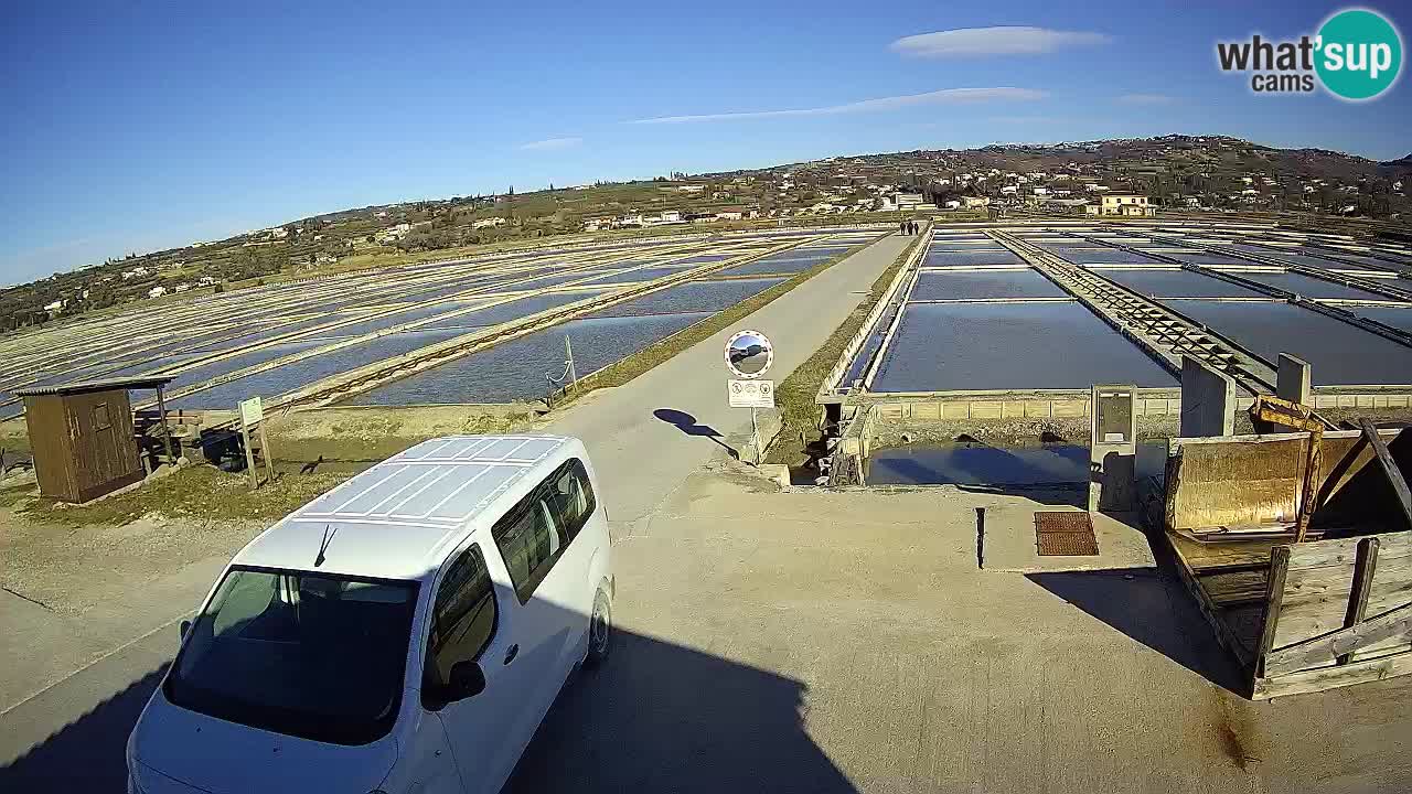 ﻿Sečovlje Salina Nature Park – KPSS