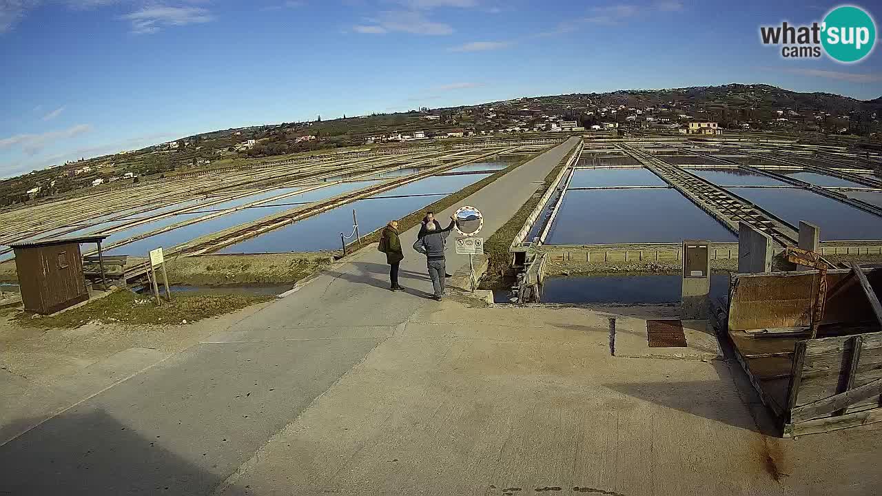 ﻿Sečovlje Salina Nature Park – KPSS