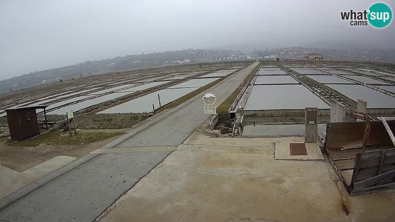 Park prirode Sečovlje Salina