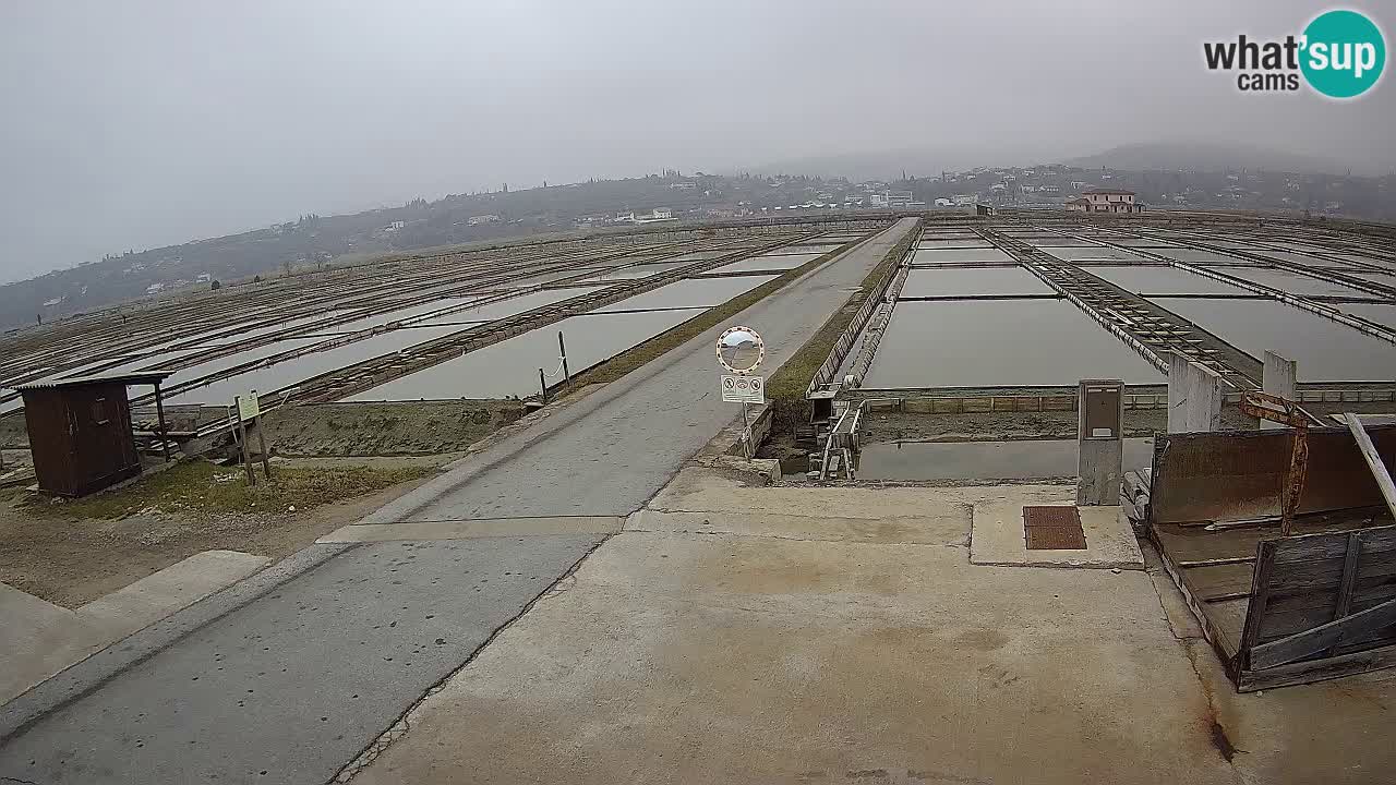 Park prirode Sečovlje Salina