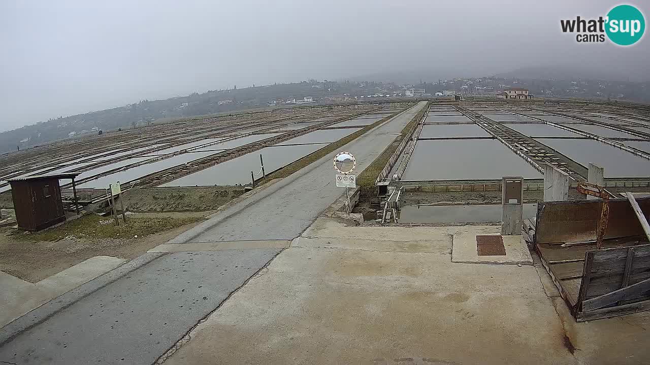 Parco Naturale Saline di Sicciole