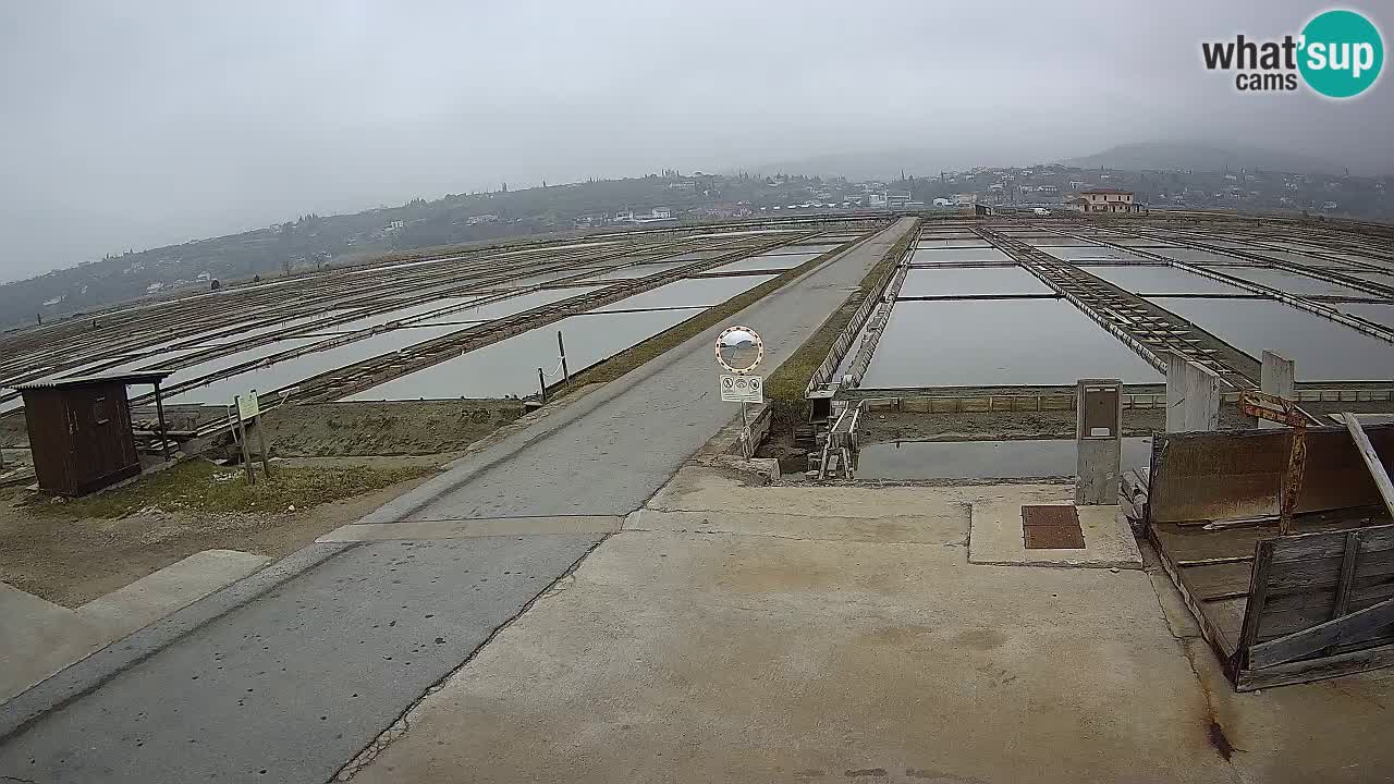 ﻿Sečovlje Salina Nature Park – KPSS