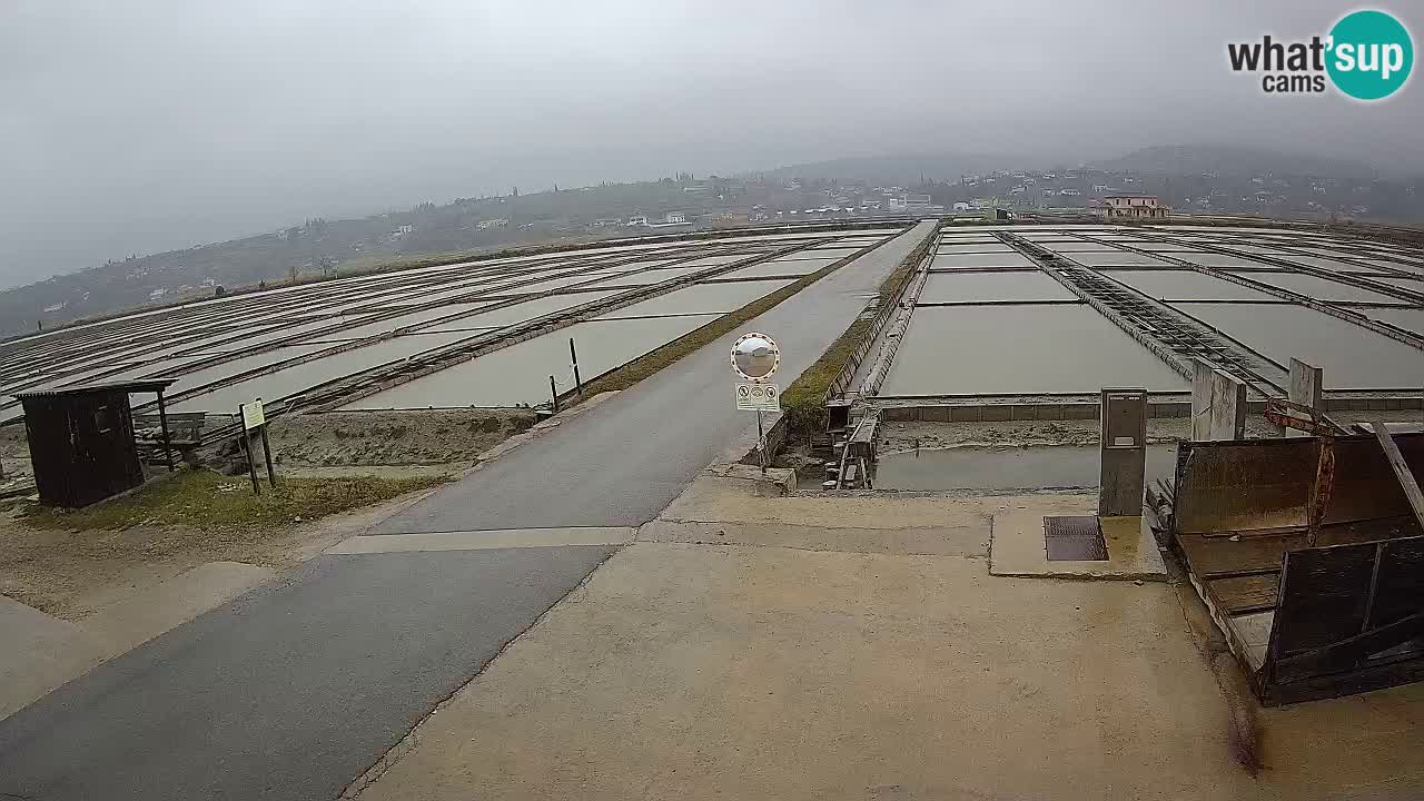 Park prirode Sečovlje Salina